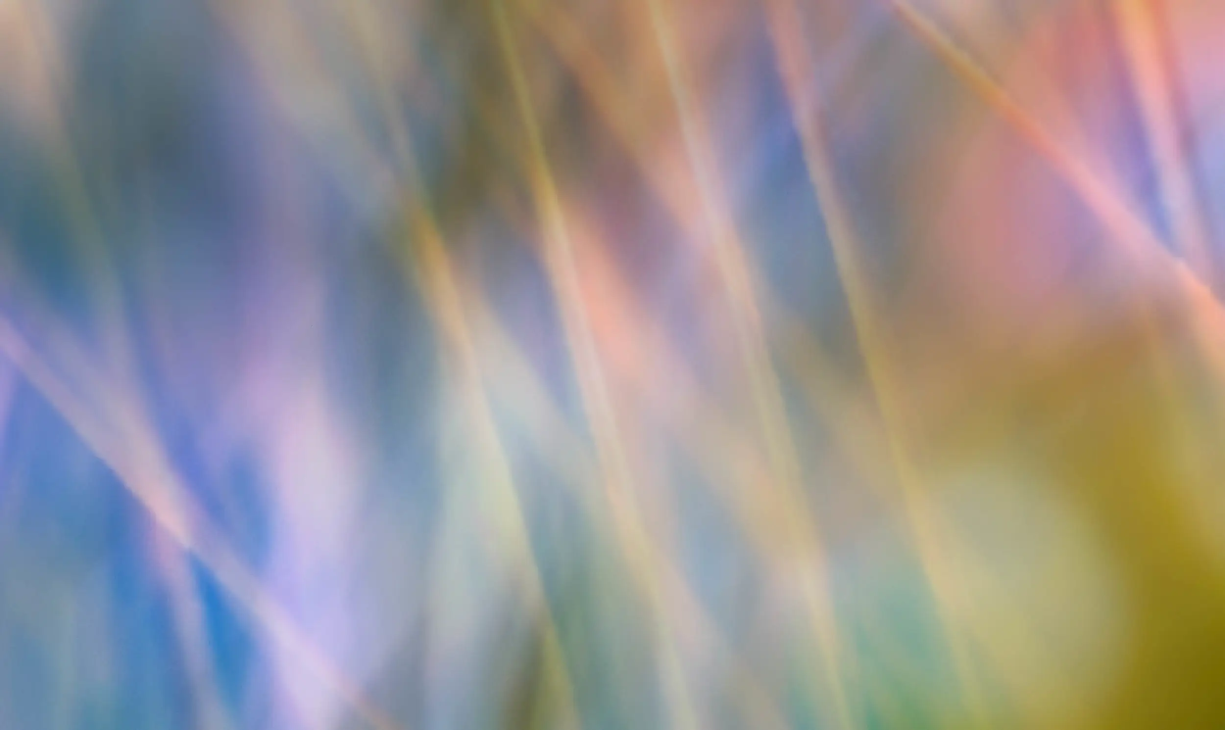 Abstract Grasses