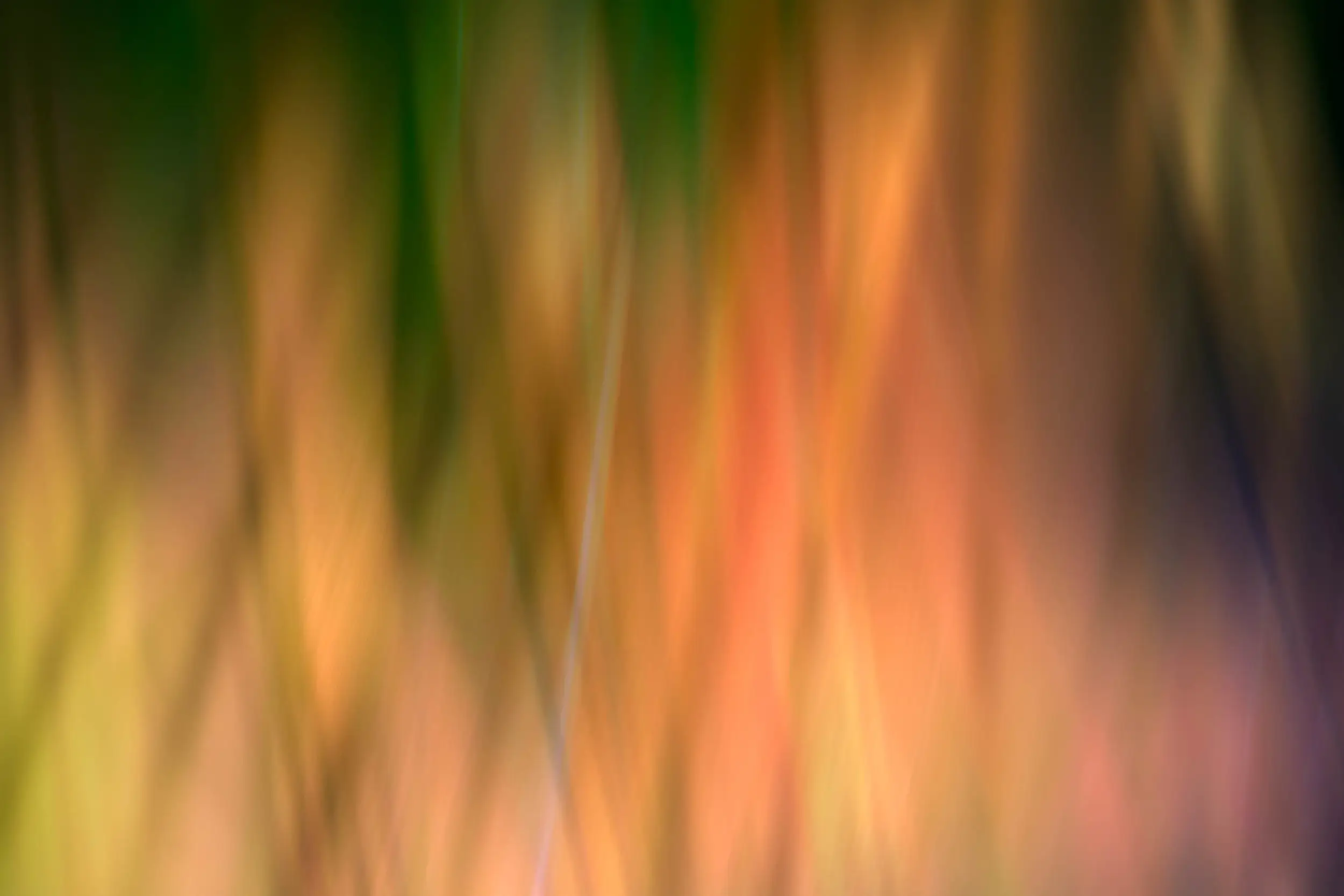 Abstract Grasses